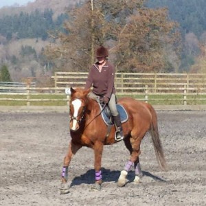 Helen exercising Monty in the school. 