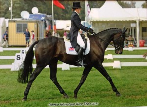 India Dressage