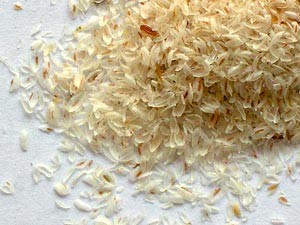 Psyllium-Husk