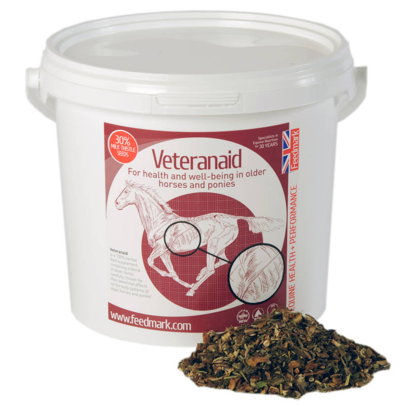 Top Tips for Feeding the Veteran Horse Feedmark Nutritionist Feedmark