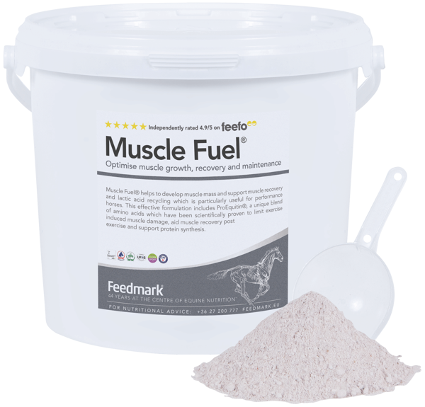 Picture of Muscle Fuel®