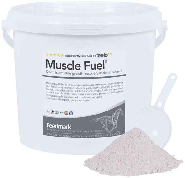 Image de Muscle Fuel®