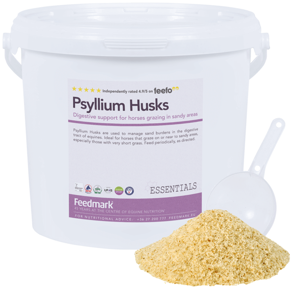 Imagen de Psyllium Husks