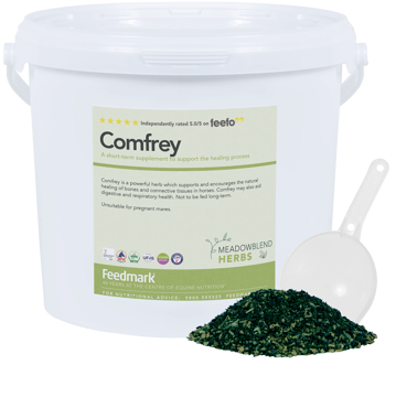 Picture of Comfrey