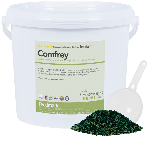 Bild von Comfrey